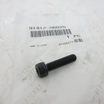 Yamaha YZF Inbusbout SW5 M6x25