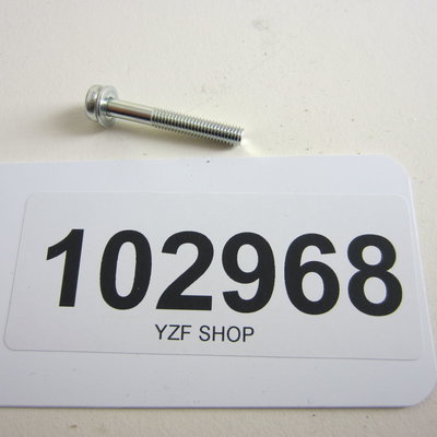 Yamaha YZF bout met kruiskop M5x35