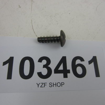 Yamaha YZF Schroefje met kruiskop