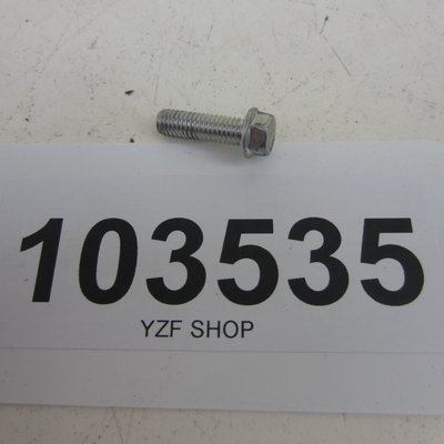 Yamaha YZF Bout M6x20 met zeskantkop 8mm