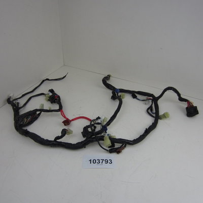 Yamaha YZF R6 2005 Kabelboom
