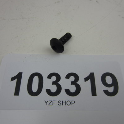 Yamaha YZF inbusbout M6x17 SW4 bolkop