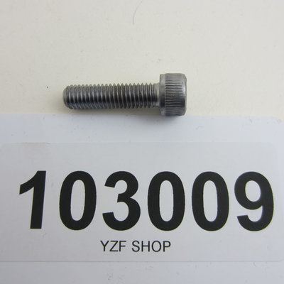 Yamaha YZF inbusbout SW5 ,M8x30