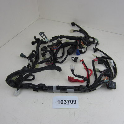 Yamaha YZF R6 13S kabelboom