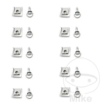 Snelsluiter Set 19mm D-Ring Zilver