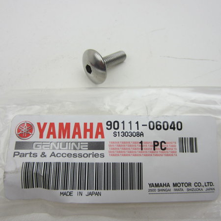 Yamaha YZF Inbusbout SW4 M6x20 bolkop
