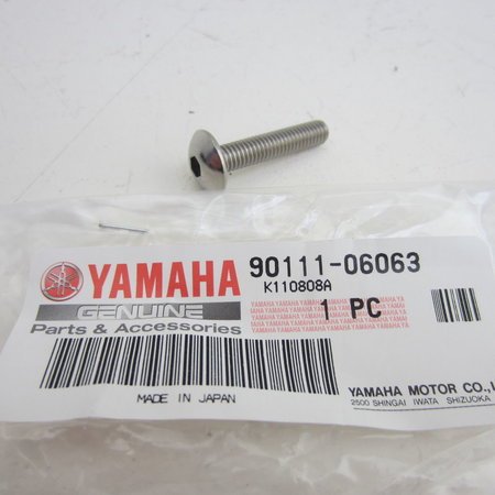 Yamaha YZF Inbusbout SW4 met bolkop M6x30