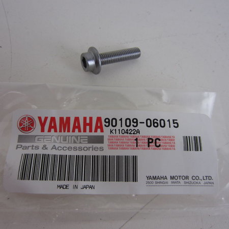 Yamaha YZF Inbusbout met kraag M6x25 SW5