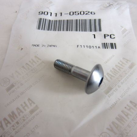 Yamaha YZF Inbusbout SW4 M5x20 met bolkop. tbv rempot