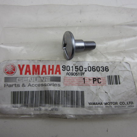 Yamaha YZF Kuipschroef met kruiskop M6x17 met kraag(8x8mm)