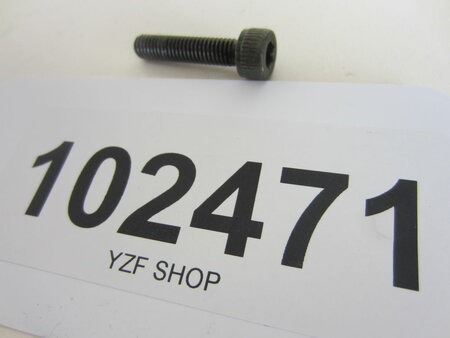 Yamaha YZF Inbusbout SW5 M6x28
