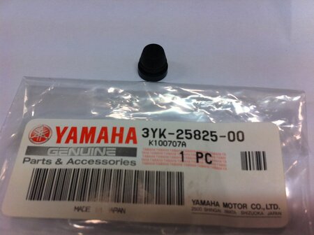 Yamaha YZF R1 ontluchtingsnippel dopje voor op rempomp