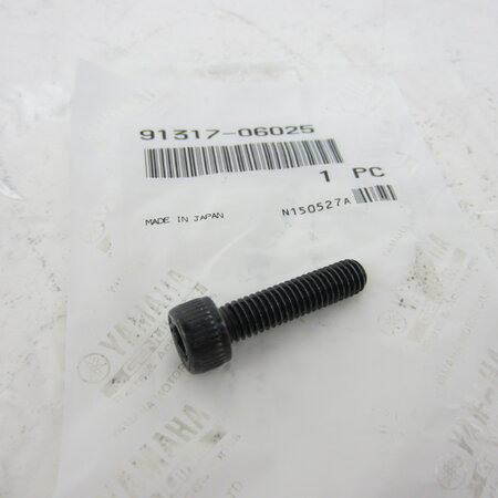 Yamaha YZF Inbusbout SW5 M6x25