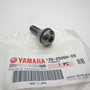 Yamaha YZF R6 13S subframe bout